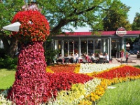 02.07.2015  Mit Blumen geschmückter Pfau in der Stadtmitte von Bad Harzburg