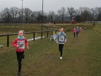 KM Cross 2015 046