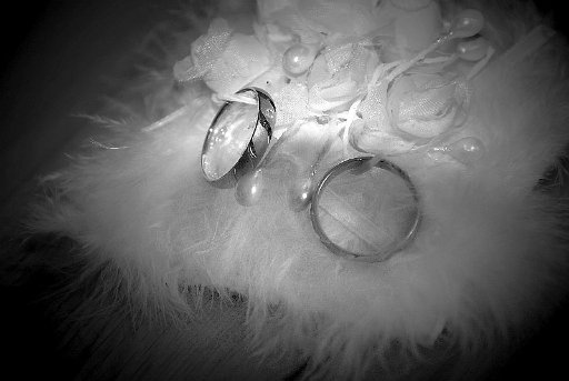 DSC 0123 web