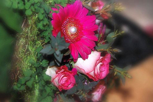 DSC 0125 web