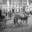 DSC 0019 web