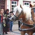 DSC 0033 web