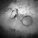DSC 0123 web