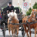 DSC 0379 web