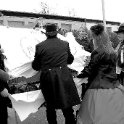 DSC 0412 web