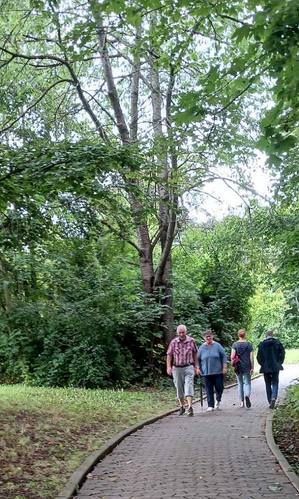 Lichterlaufwoche 2024 09