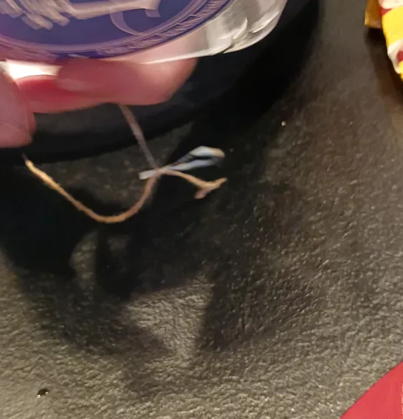 web Aktionsteam 20250926_104134